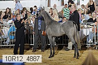10r12_4887 thumbnail