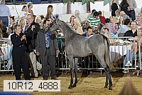 10r12_4888 thumbnail
