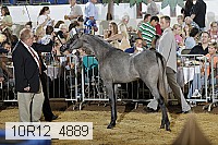 10r12_4889 thumbnail