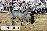 10r12_4891 thumbnail