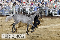 10r12_4892 thumbnail