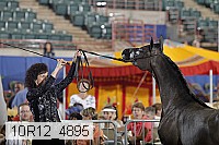 10r12_4895 thumbnail