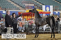 10r12_4896 thumbnail