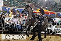 10r12_4897 thumbnail
