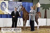 10r12_4899 thumbnail