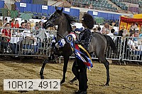 10r12_4912 thumbnail
