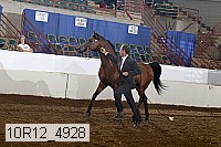 10r12_4928 thumbnail