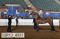 10r12_4931 thumbnail