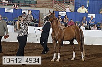 10r12_4934 thumbnail