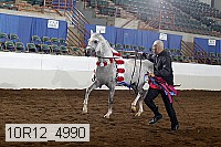 10r12_4990 thumbnail