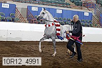 10r12_4991 thumbnail