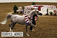 10r12_4992 thumbnail