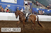 10r12_5633 thumbnail