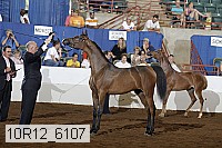 10r12_6107 thumbnail