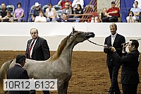 10r12_6132 thumbnail