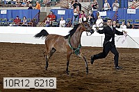 10r12_6218 thumbnail