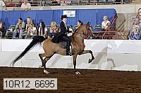 10r12_6695 thumbnail
