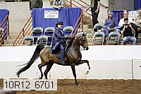 10r12_6701 thumbnail