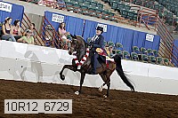 10r12_6729 thumbnail