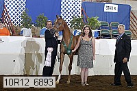 10r12_6893 thumbnail