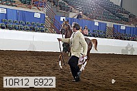 10r12_6922 thumbnail