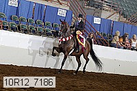 10r12_7186 thumbnail