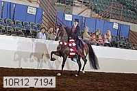 10r12_7194 thumbnail