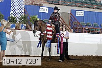10r12_7281 thumbnail