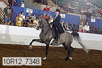 10r12_7348 thumbnail