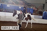 10r12_7430 thumbnail