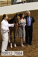 10r12_7584 thumbnail