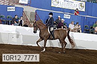 10r12_7771 thumbnail
