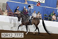 10r12_7772 thumbnail