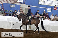 10r12_7774 thumbnail