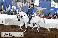 10r12_7775 thumbnail