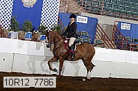 10r12_7786 thumbnail