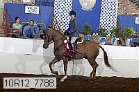 10r12_7788 thumbnail