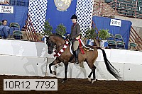10r12_7792 thumbnail