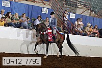 10r12_7793 thumbnail