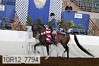 10r12_7794 thumbnail