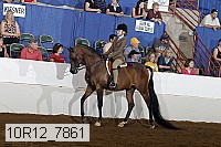 10r12_7861 thumbnail