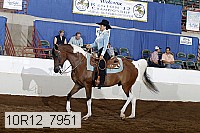10r12_7951 thumbnail