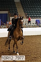 10r12_7977 thumbnail
