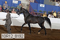 10r12_8192 thumbnail