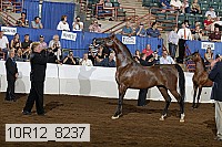 10r12_8237 thumbnail