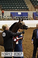 10r12_8267 thumbnail