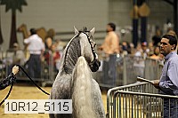 10r12_5115 thumbnail
