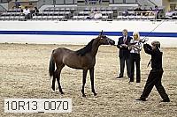 10r13_0070 thumbnail