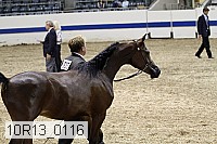 10r13_0116 thumbnail