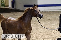 10r13_0117 thumbnail
